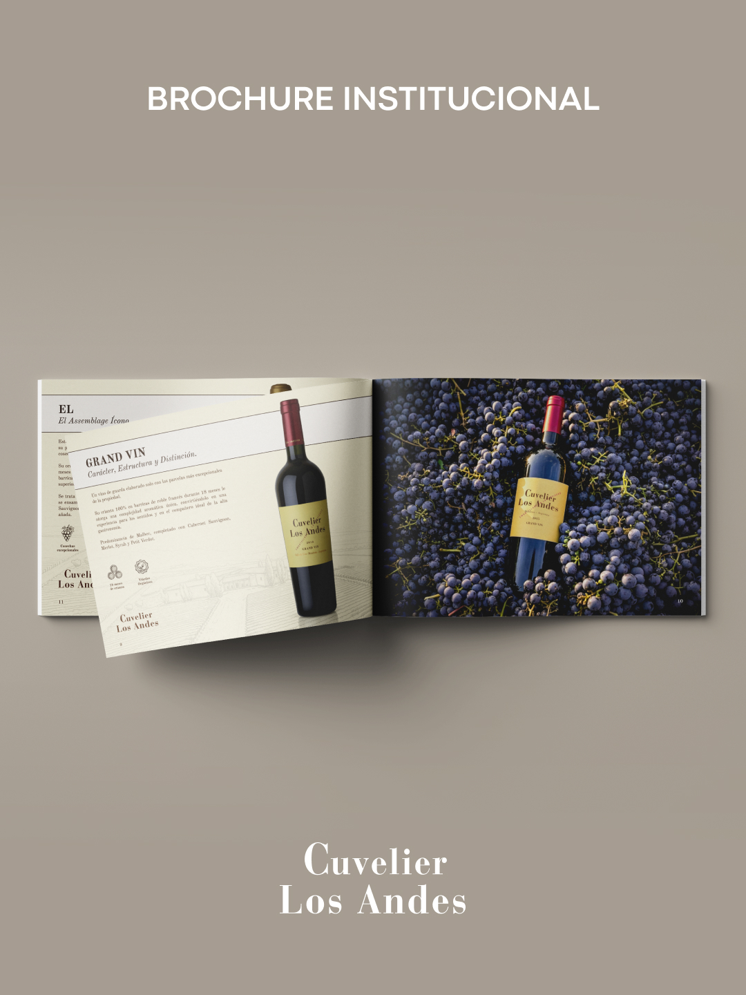 Cuvelier — Portfolio