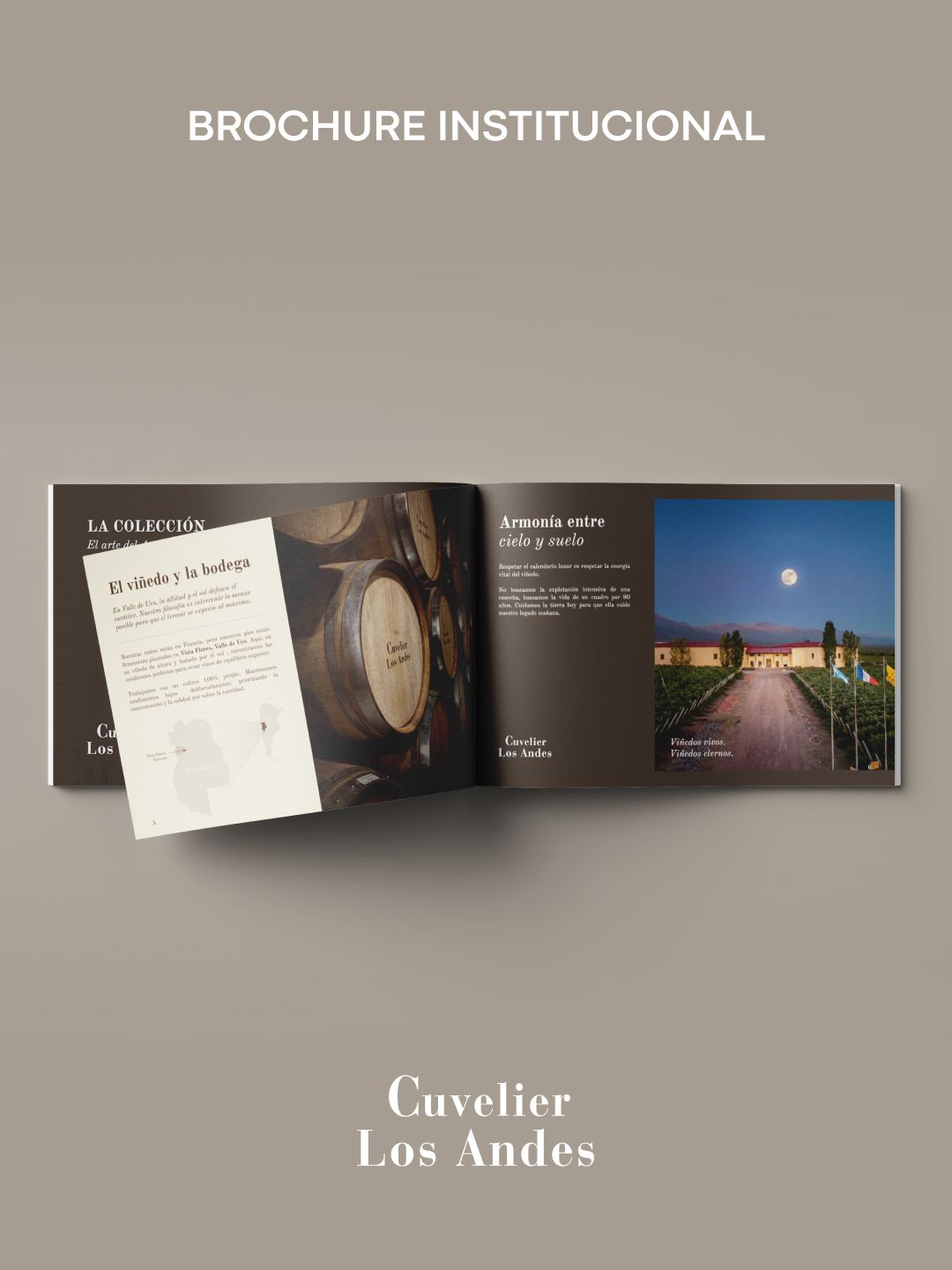 Cuvelier — Portfolio