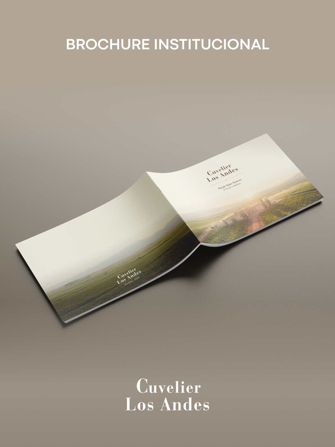 Cuvelier — Portfolio